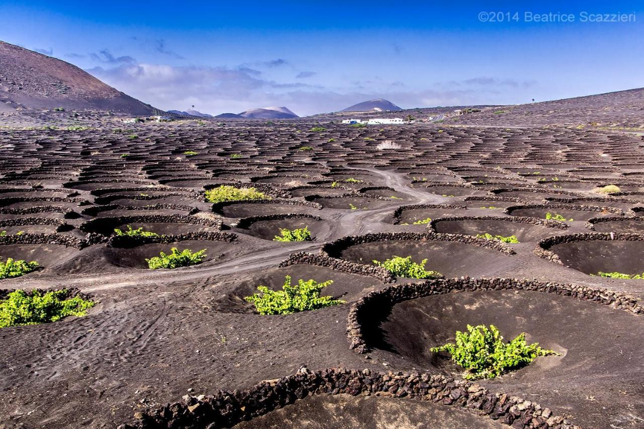 Appartamento Il Sogno Puerto del Carmen (Lanzarote)